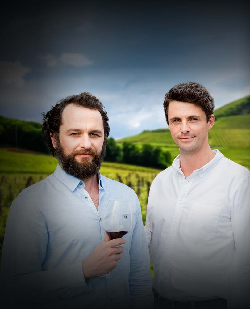 Watch The Wine Show Online Stream New Full Episodes AMC