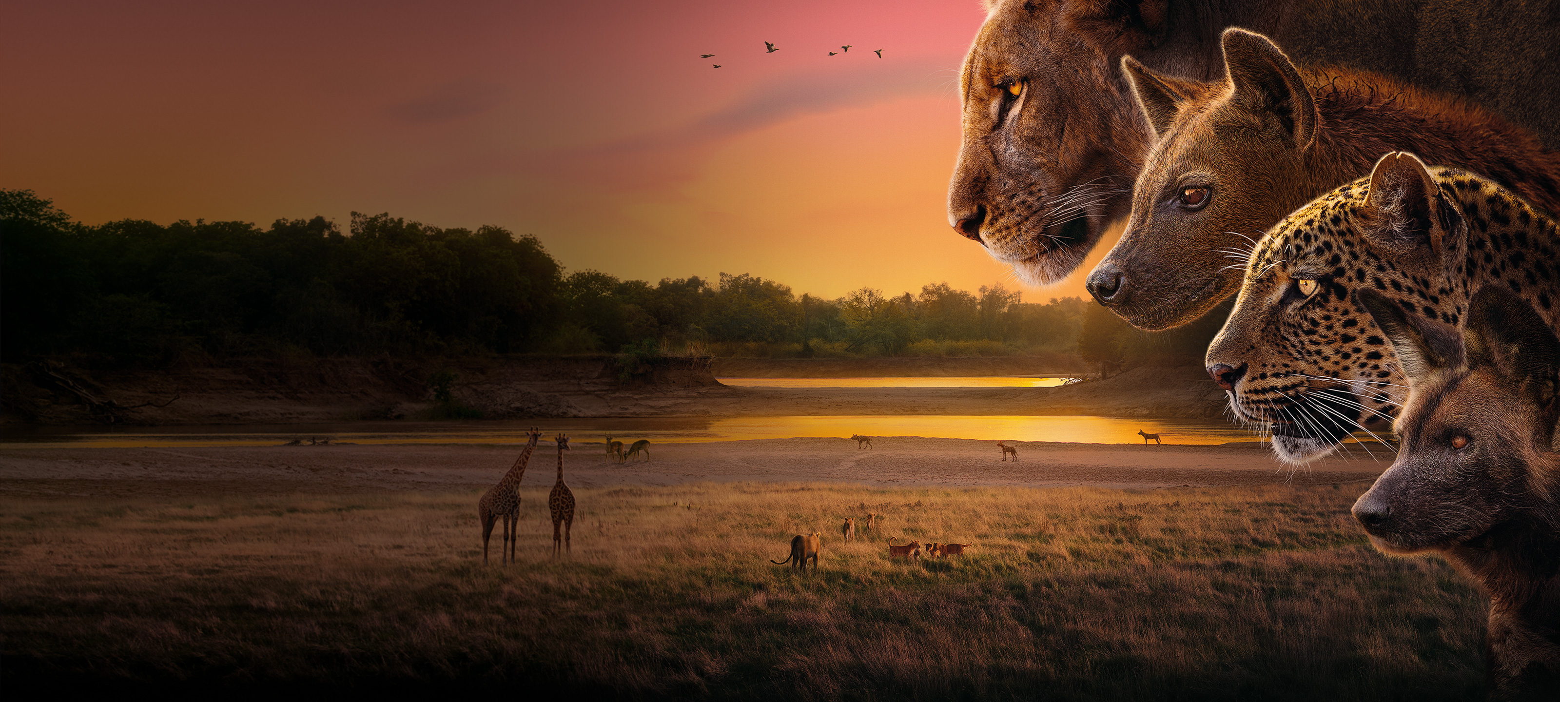 Planet Earth: Kingdom Trailer