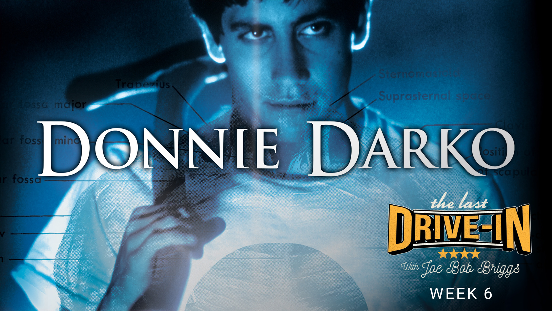 Donnie Darko, Donnie is frequented by Frank; a monstrous six-foot rabbit., TV-MA, Season 1067704, Episode 6