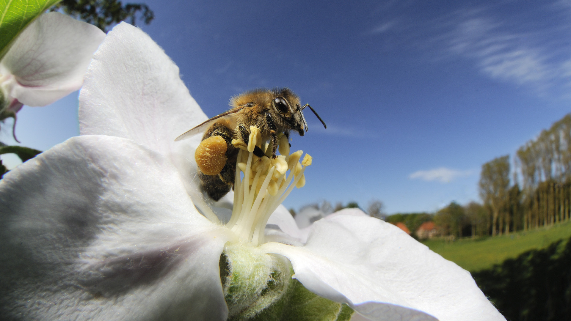 Hidden Habitats Season 1 Episode 14 - Them & Us