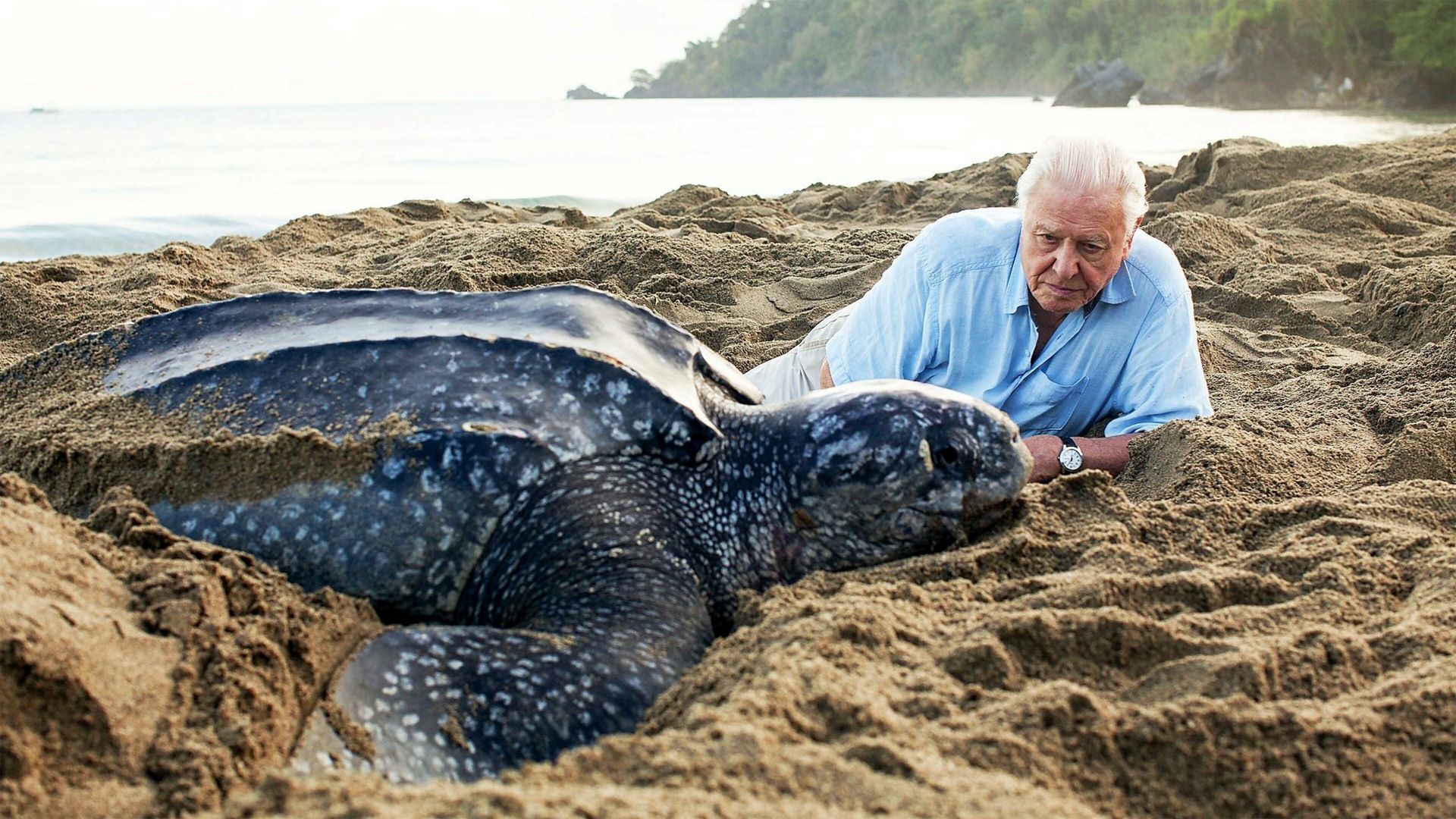 Our Blue Planet, Understand the future of our oceans., TV-G, Season 1, Episode 7