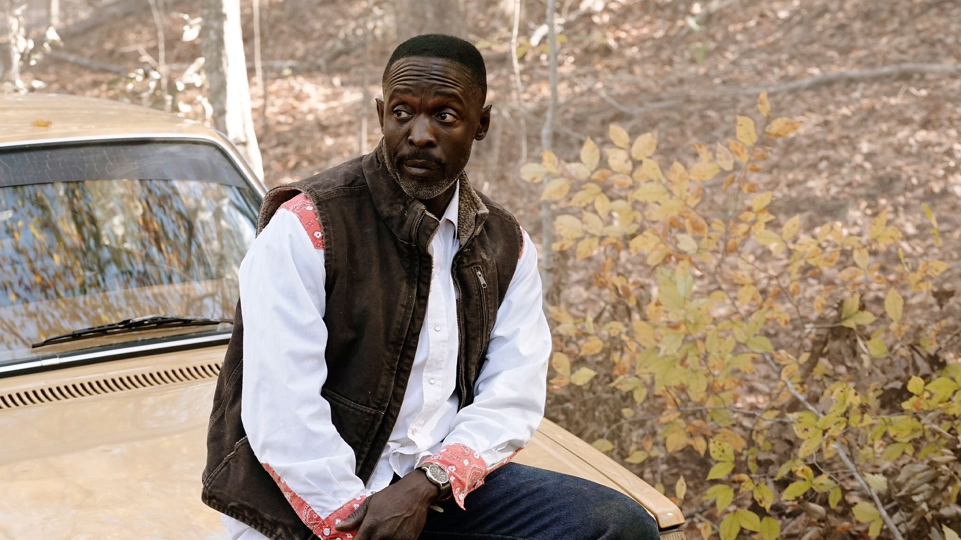 Mambo #5, Hap and Leonard return to Grovetown more determined., TV-MA, Season 3, Episode 5