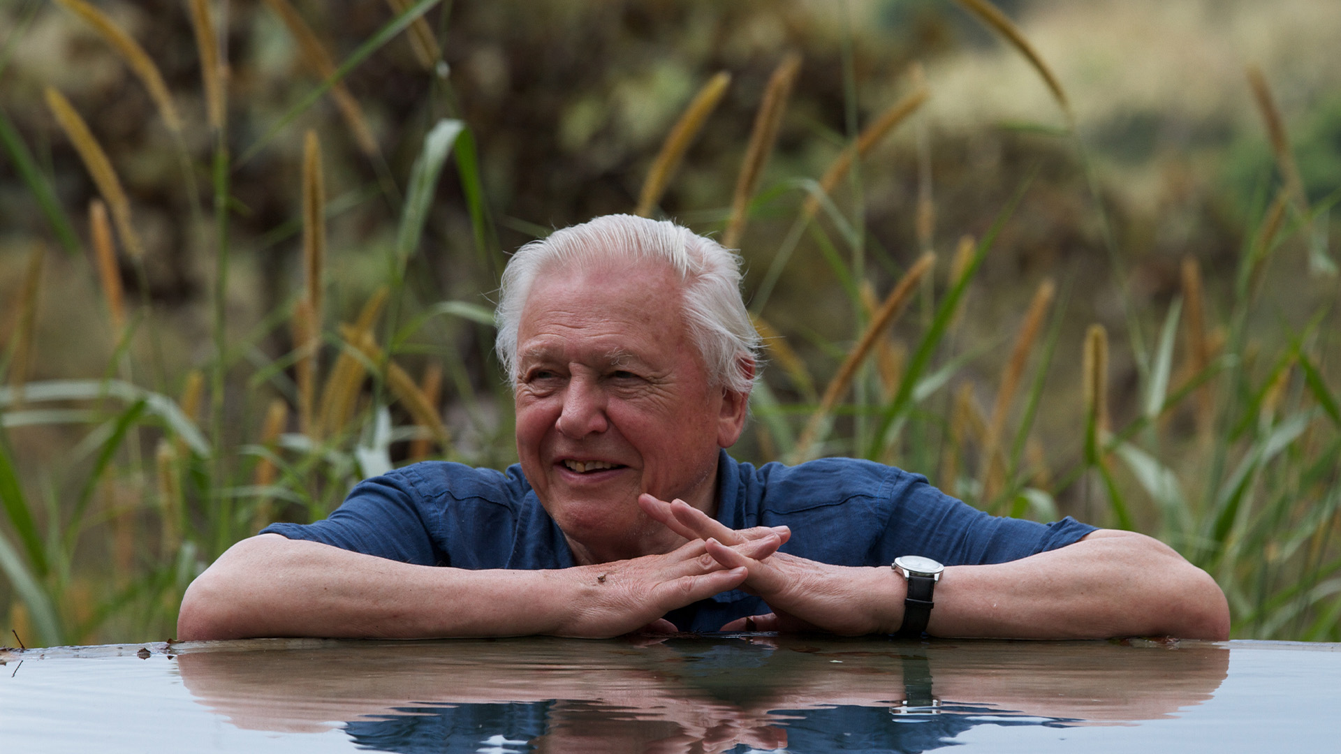 Attenborough's Global Adventure, David Attenborough goes on a natural history adventure., TV-PG, Season 1052223, Episode 1