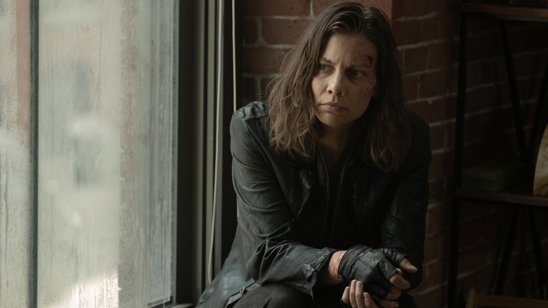 If History Were a Conflagration, Maggie makes a choice. Negan puts on a show., TV-MA, Season 2, Episode 8