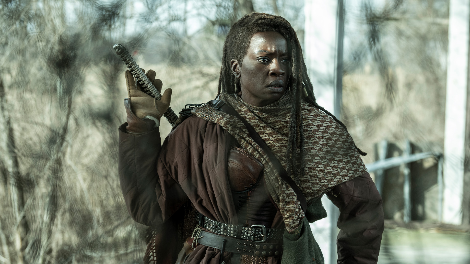 Gone, Michonne finds unexpected help on her search for Rick., TV-MA, Season 1063568, Episode 2