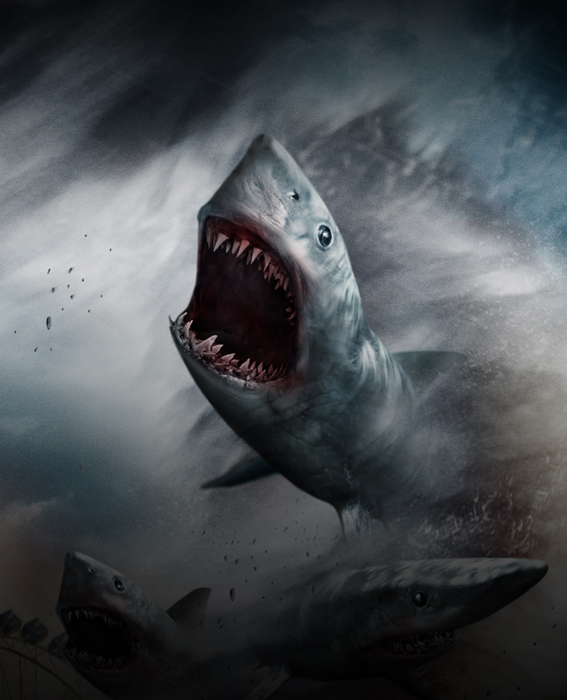 Sharknado, When a freak hurricane swamps Los Angeles, thousands of sharks terrorize the waterlogged populace. And with the high- speed winds form tornadoes in the desert, nature's deadliest killer rules water, land, and air., TV-14, Action & Adventure, 2013, 1 hour 28 minutes