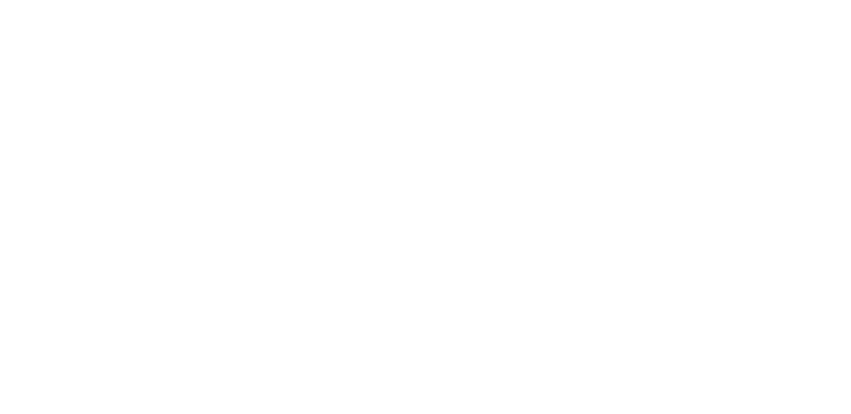 Mute Witness