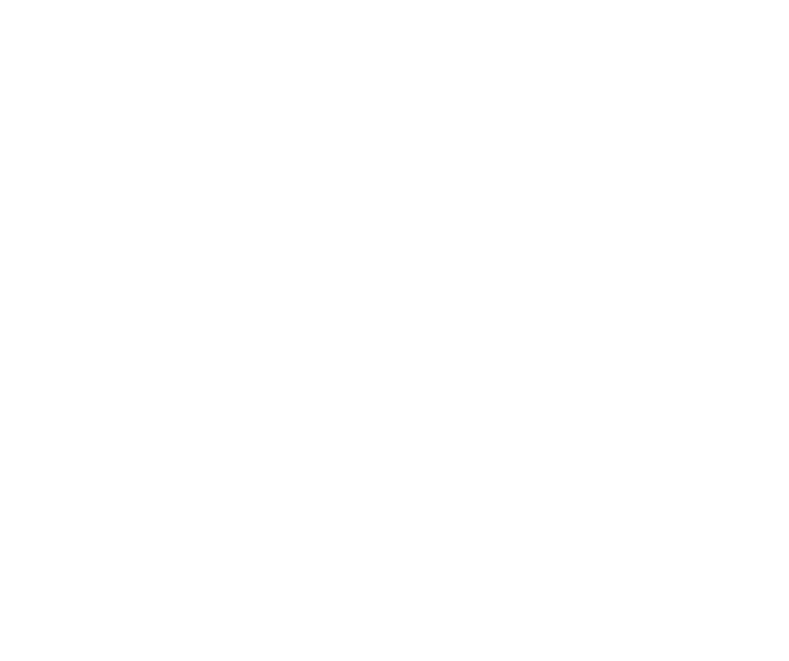 The Stone Tape