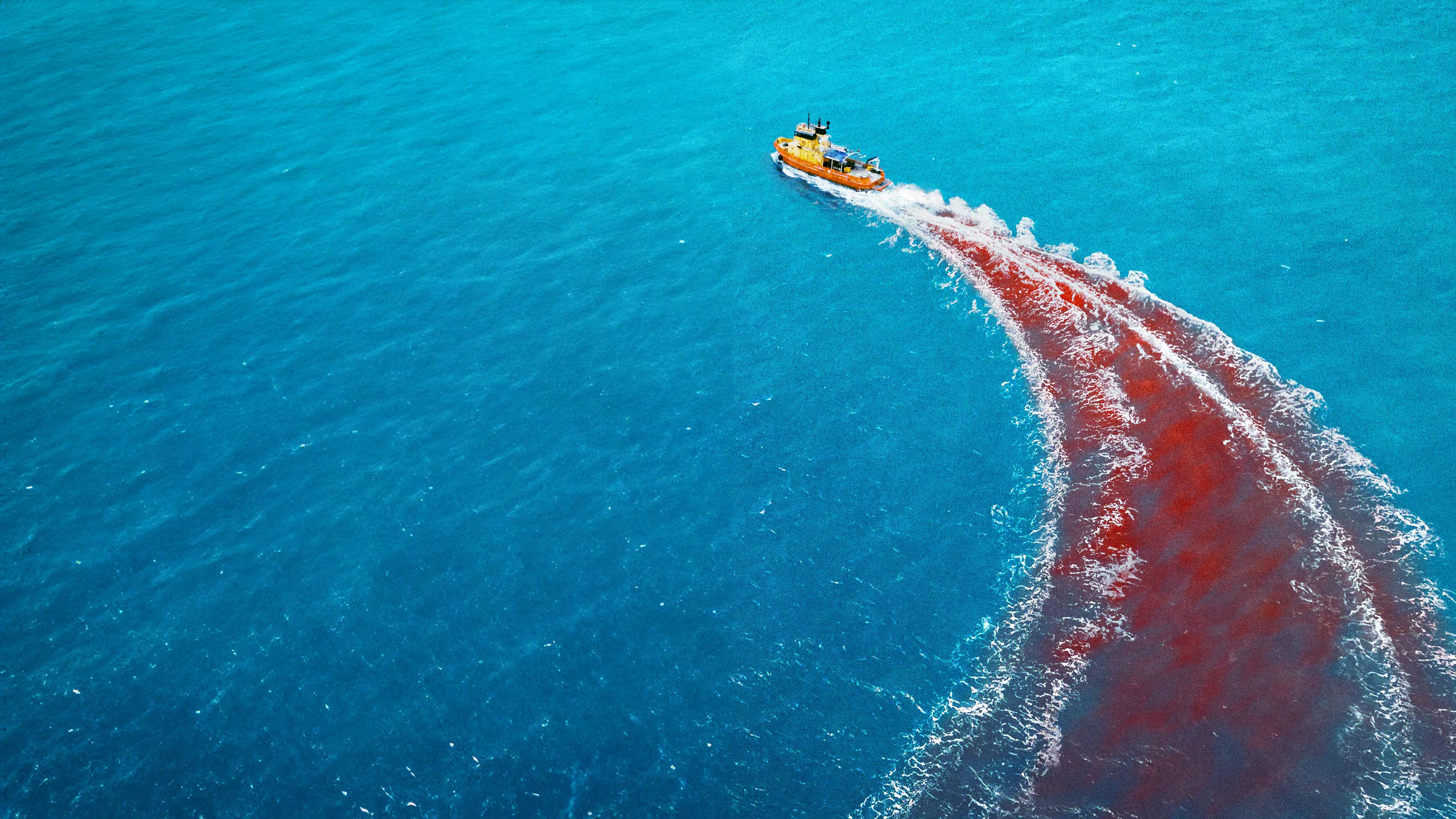 Dangerous Animals Trailer, When a surfer (Hassie Harrison) is abducted by a shark-obsessed serial killer (Jai Courtney) and held captive on his boat, she must escape before he feeds her the sharks below. 