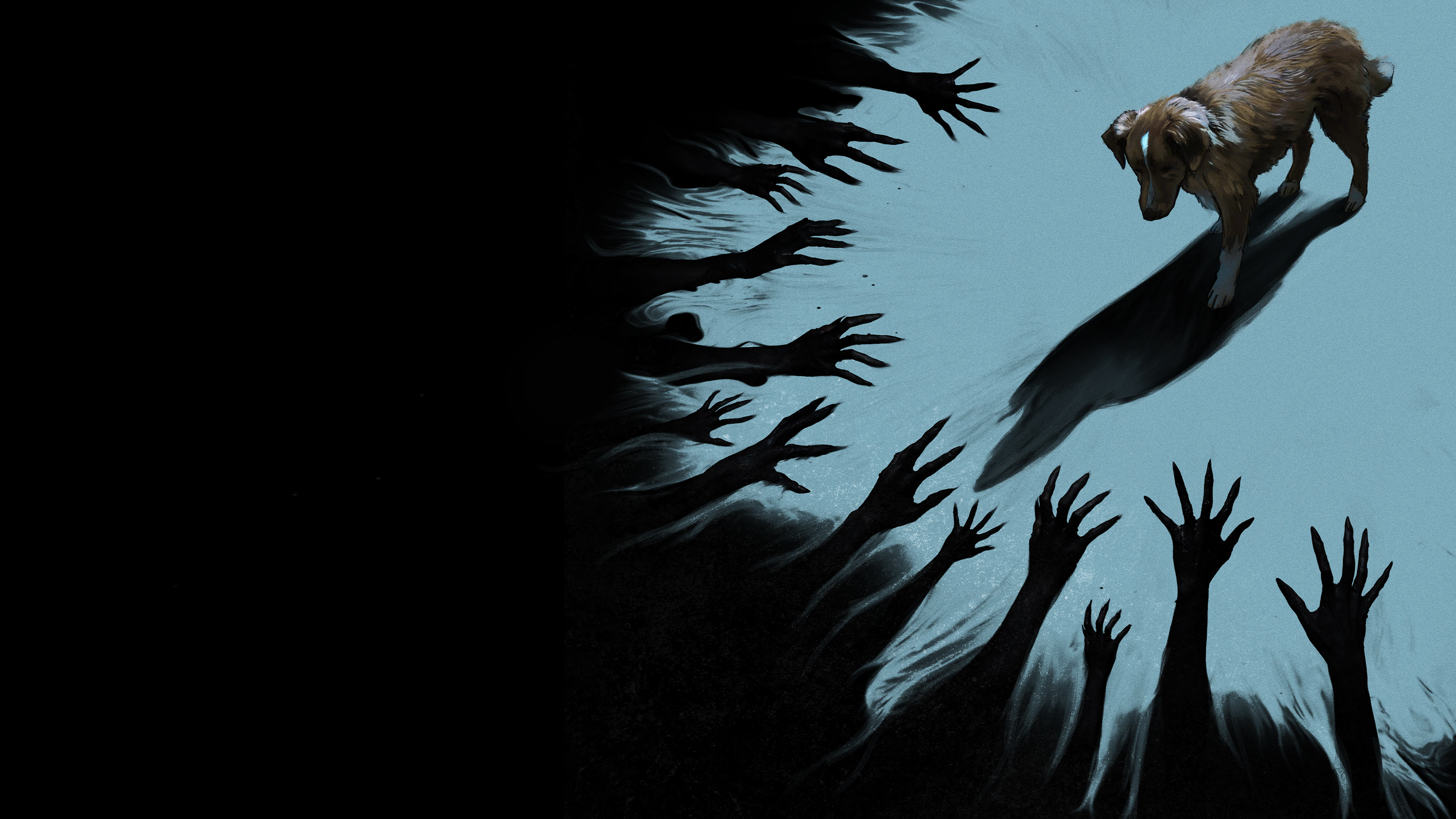 Good Boy Trailer, A loyal dog moves to a rural family home with his owner Todd, only to discover supernatural forces lurking in the shadows. As dark entities threaten his human companion, the brave pup must fight to protect the one he loves most. 