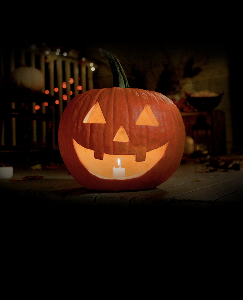 Night of the Ghoul Log, A Shudder annual tradition returns. Bring the Halloween night vibes inside with our ever-burning Jack O'Lantern, perfect to light up all your October celebrations., TV-G, Horror, 2021, 1 hour 1 minute