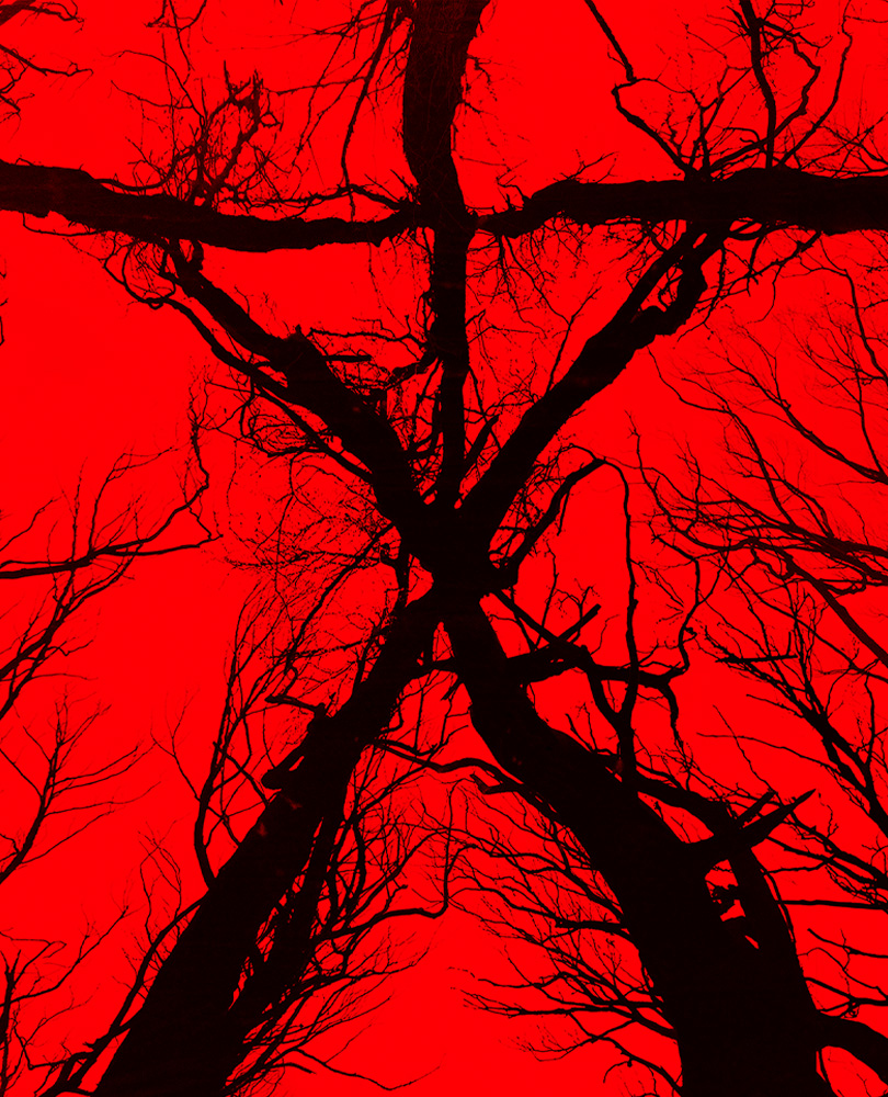 Blair Witch, Two decades after a local girl's mysterious disappearance in the Black Hills Forest, new clues surface, reigniting theories about the Blair Witch legend., TV-MA, Horror, 2016, 1 hour 30 minutes