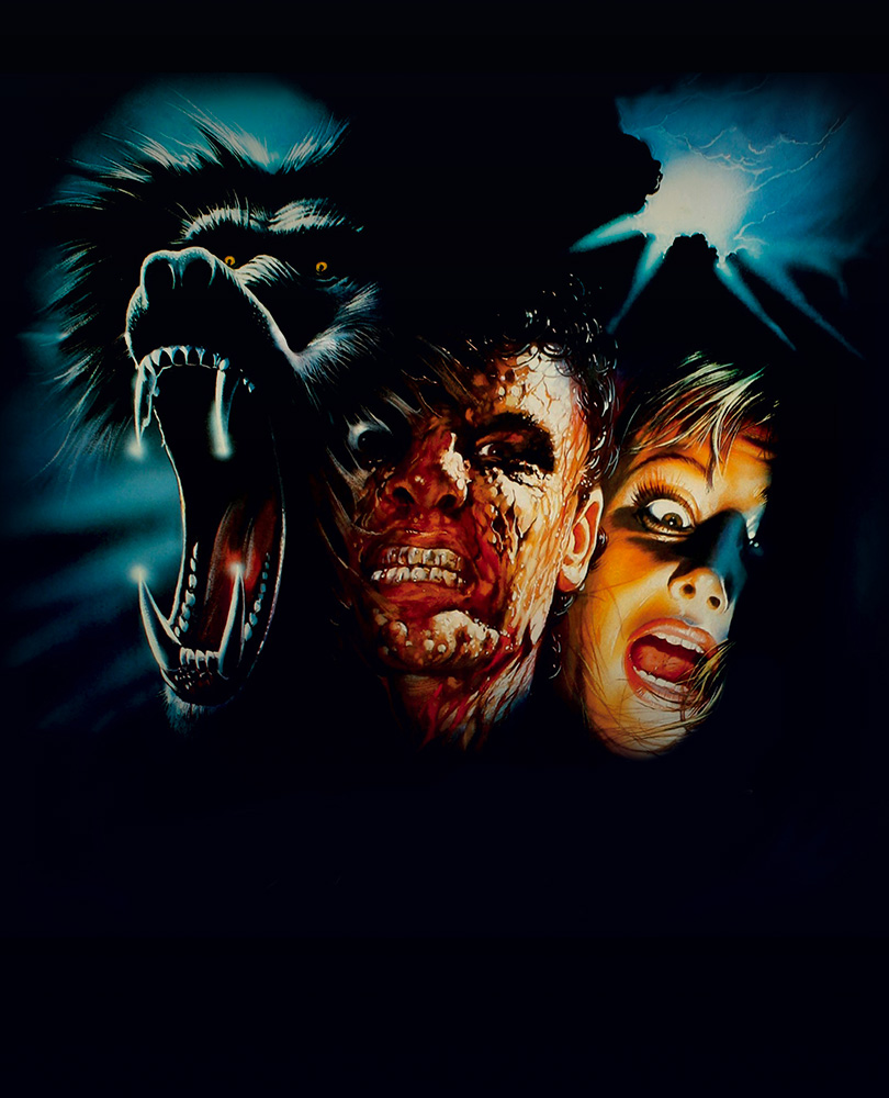 Primal Rage, A scientist at a Florida university inadvertently creates a "rage virus" while performing experiments intended to restore dead brain tissue in baboons., TV-MA, Horror, 1988, 1 hour 33 minutes