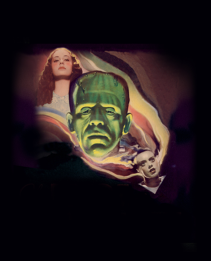 Bride of Frankenstein, Legendary Boris Karloff reprises his role as the screen's most misunderstood monster and Elsa Lanchester stars as his ill-fated bride in one of the most popular horror classics of all time., TV-14, Horror, 1935, 1 hour 15 minutes