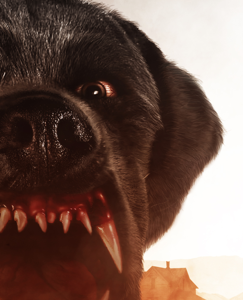 Cujo, Bitten by a rabid bat, a huge dog traps a Maine woman (Dee Wallace) and her young son (Danny Pintauro) in their Ford Pinto., TV-MA, Horror, 1983, 1 hour 33 minutes
