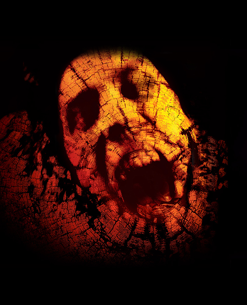 Book of Shadows: Blair Witch 2, After spending a night in Maryland, four young fans of the original "Blair Witch" movie descend into a nightmare realm of murder, madness and perceptions-bending supernatural horror., TV-MA, Horror, 2000, 1 hour 31 minutes