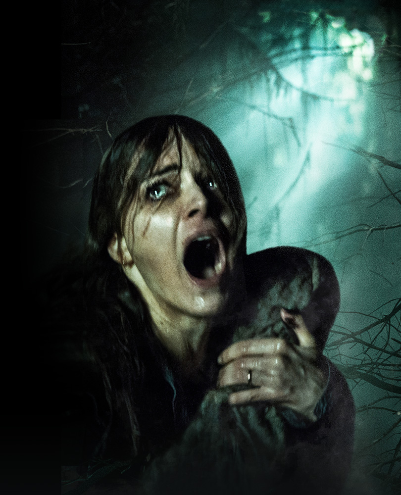 Hallow, The, A family moves to a remote house in rural Ireland and finds themselves in a fight for survival with an ancient evil living in the secluded woods., TV-MA, Horror, 2015, 1 hour 37 minutes