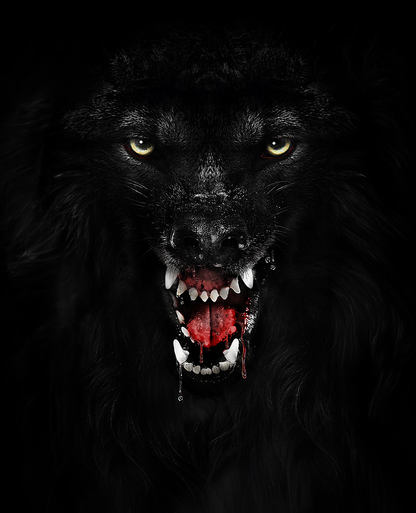 Pack, The, Man's best friend becomes his worst nightmare when a horde of bloodthirsty wild dogs descends upon a family's farmhouse in a fang-bearing fight for survival., TV-MA, Horror, 2016, 1 hour 29 minutes