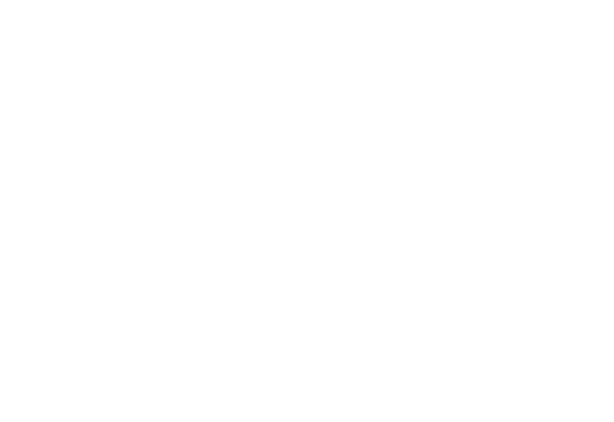 Boys From County Hell