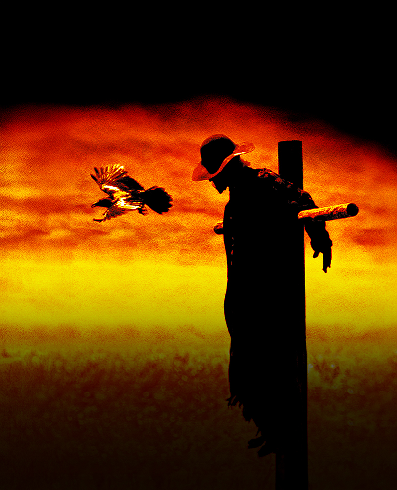 Jeepers Creepers 2, When a bus carrying high-school students breaks down a creature known as the Creeper (Jonathan Breck) starts a killing spree., TV-MA, Horror, 2003, 1 hour 45 minutes