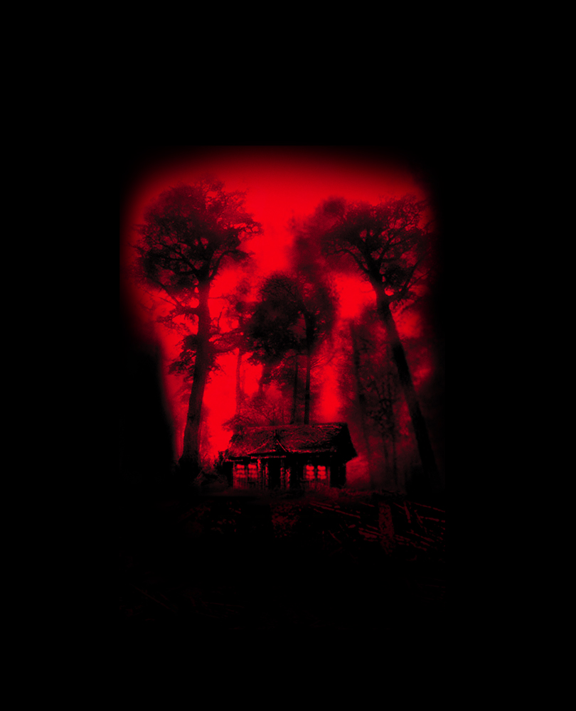 Cabin Fever (2002), A group of kids are trapped in the woods and methodically killed off by a horrifying flesh-eating virus., TV-MA, Horror, 2003, 1 hour 32 minutes
