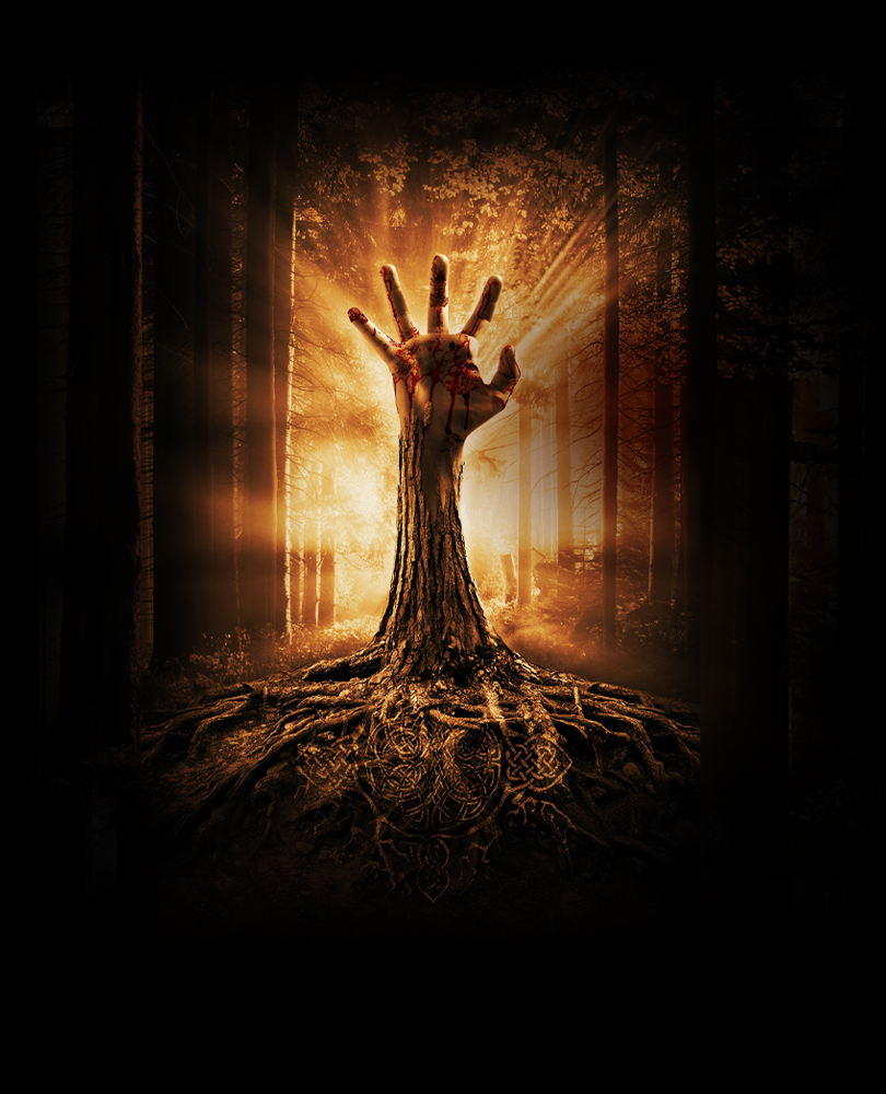 Wake Wood, A grieving couple are given an opportunity to resurrect their daughter for three days., TV-MA, Horror, 2011, 1 hour 31 minutes