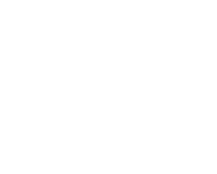 Vicious Fun