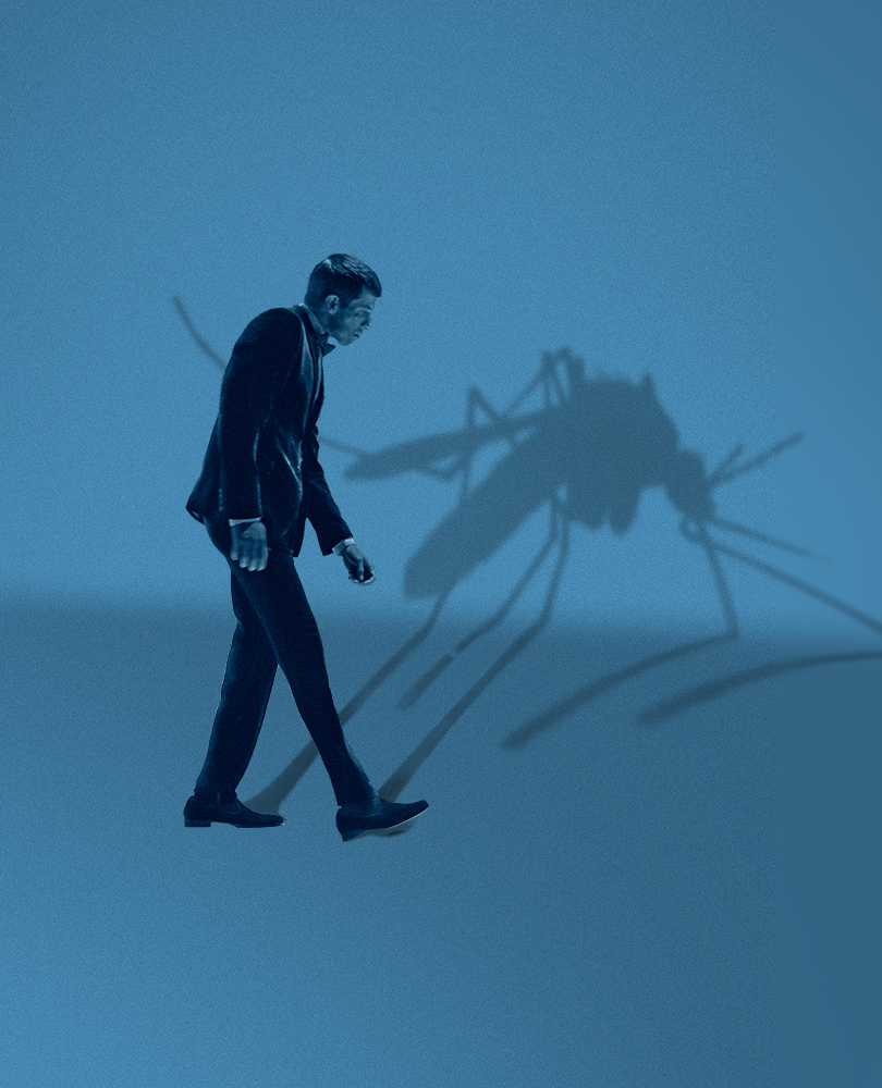 Mosquito State, Wall Street data analyst Richard Boca sees ominous patterns: His computer models are behaving erratically, as are the swarms of mosquitos breeding in his apartment, an infestation that attends his psychological meltdown., TV-MA, Horror, 2021, 1 hour 42 minutes