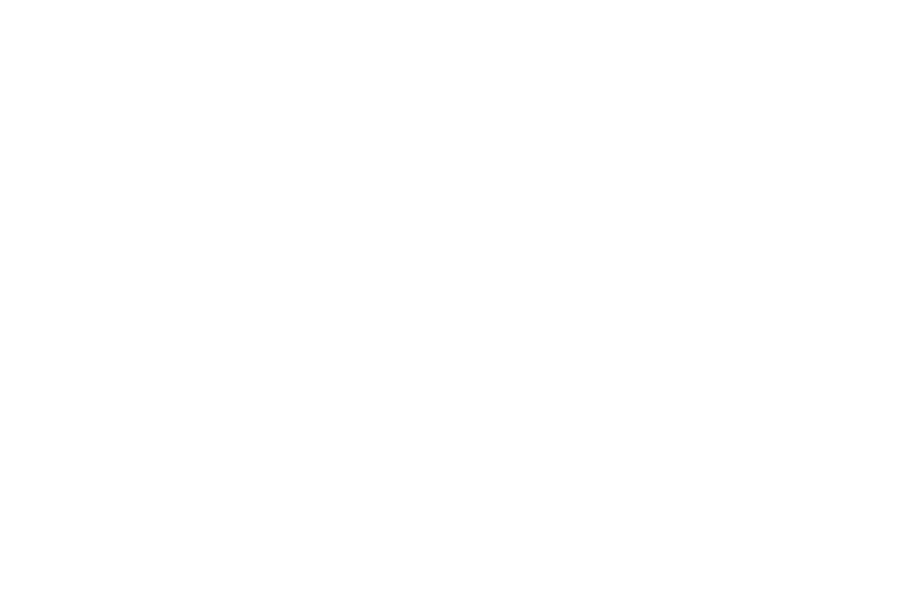 The Dive