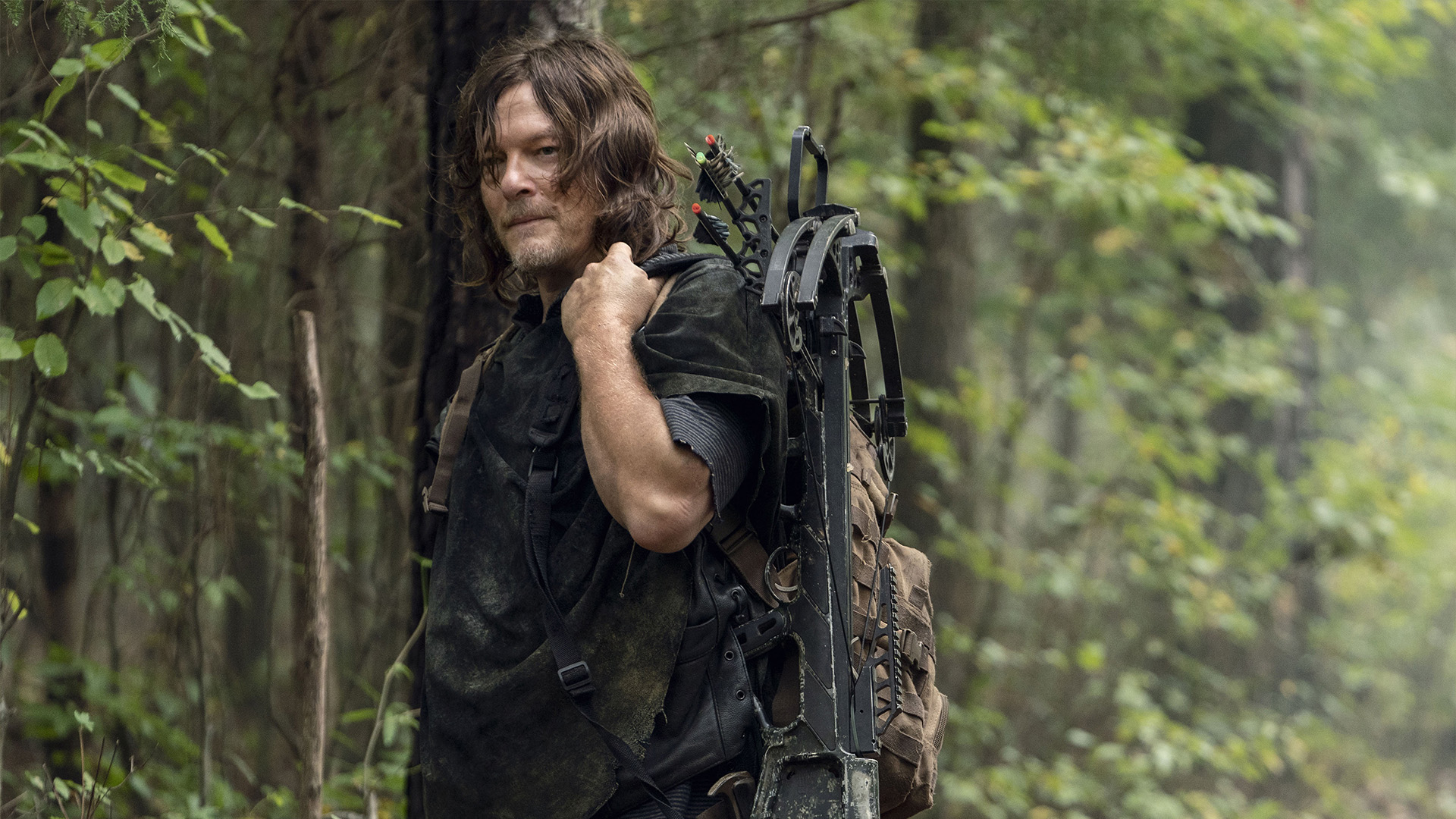 Daryl's Story, The story of Daryl Dixon, as told by Norman Reedus., TV-MA, Season 1010555, Episode 1