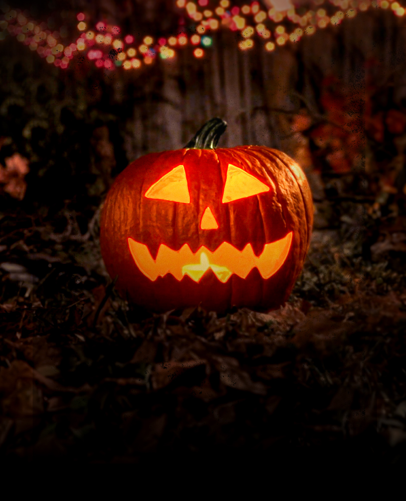 Son of Ghoul Log, Nothing says Halloween like Shudder's annual Jack O' Lantern tradition. Sit back and enjoy as it burns bright through the night., TV-G, Horror, 2023, 1 hour