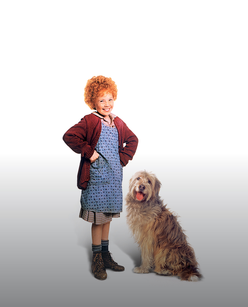 Annie (1982), AMC Presents: Wealthy Oliver Warbucks agrees to take in an orphan for a short period of time. However, after meeting Annie the stay might be longer than either of them expect., TV-PG, Comedy, 1982, 2 hours 8 minutes