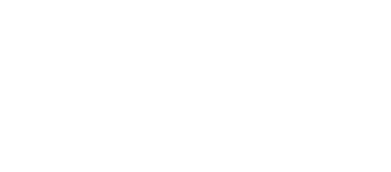 A Holiday to Remember