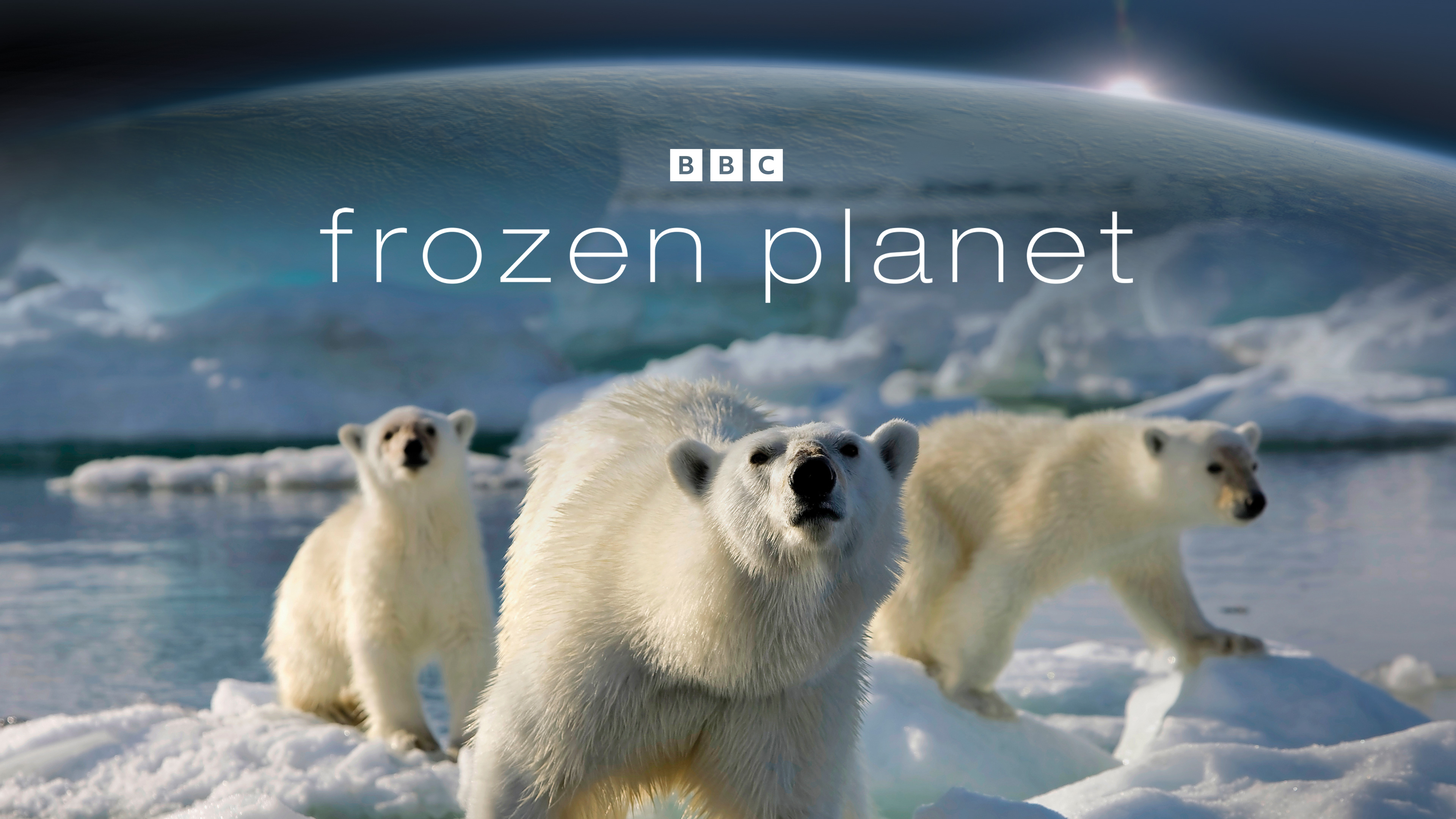 Planet Earth: Frozen Planet