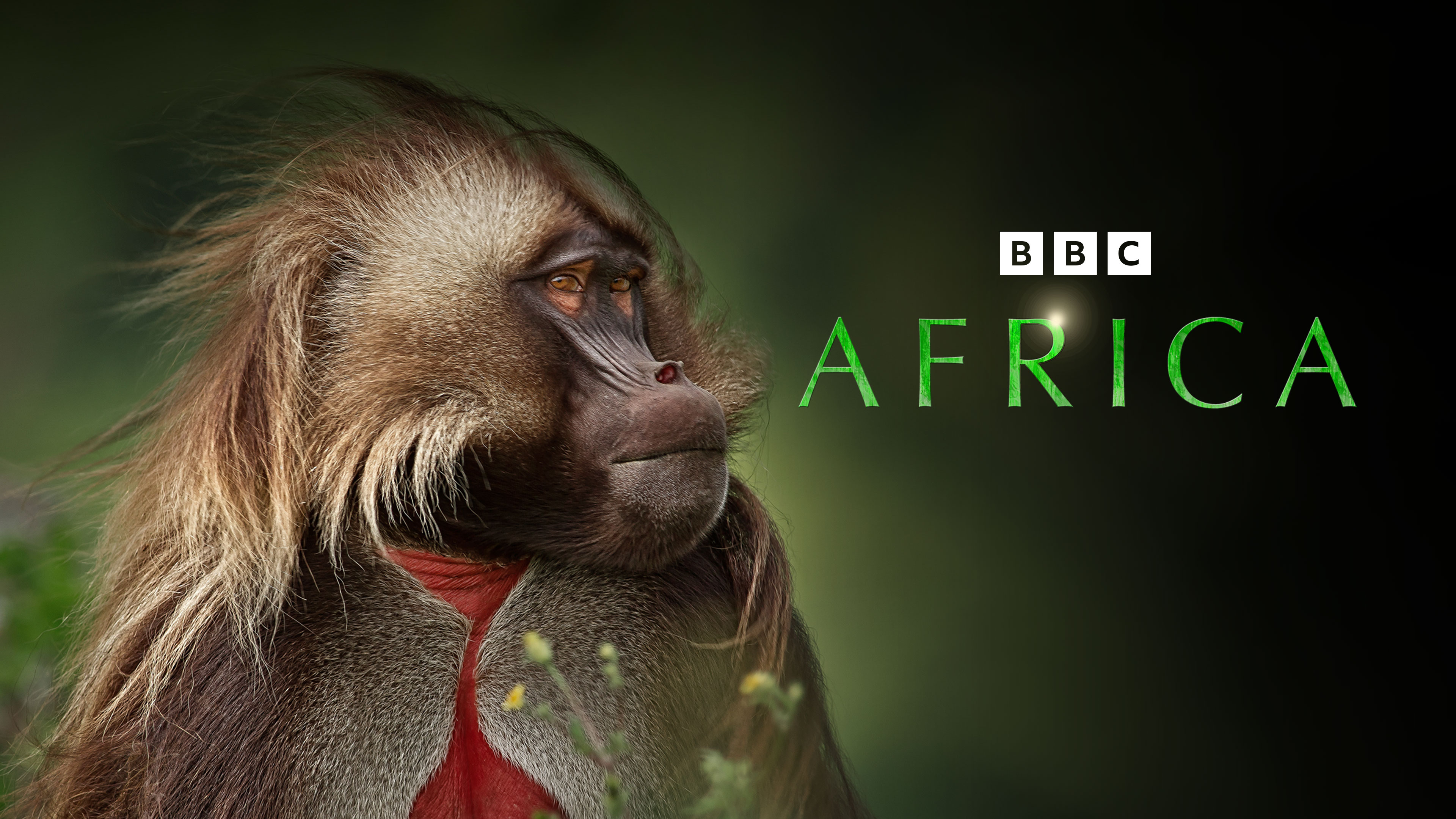 Planet Earth: Africa