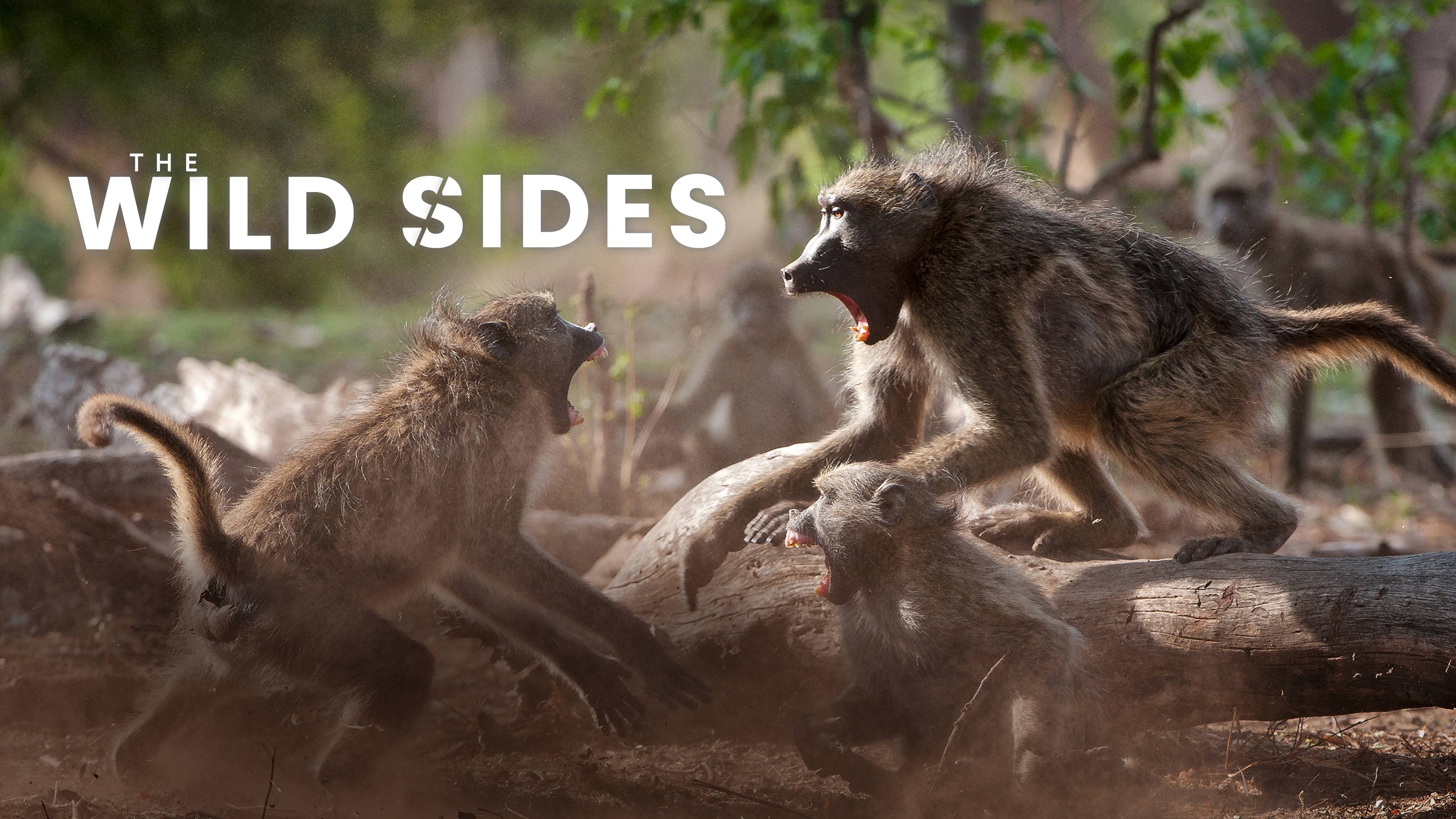 Watch The Wild Sides Online | Stream Full Episodes