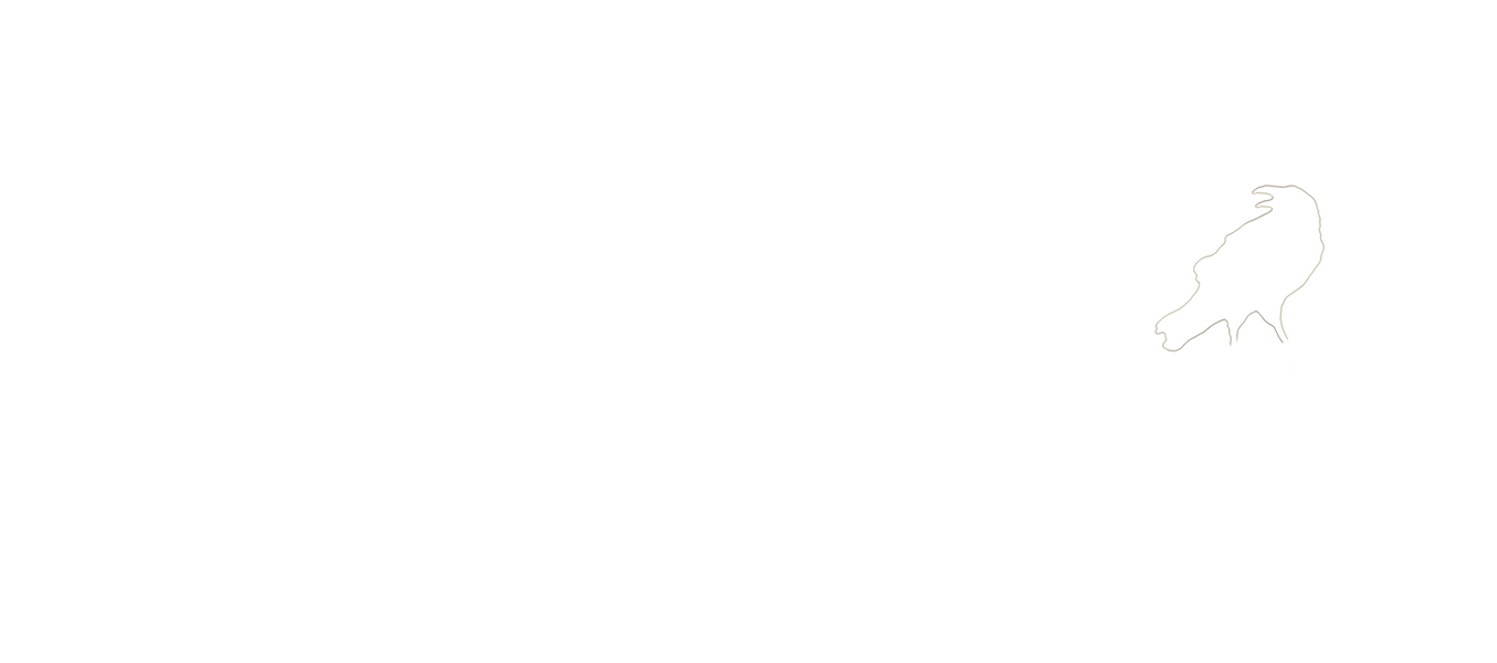Watch Queens of Mystery Online | Stream Full Episodes