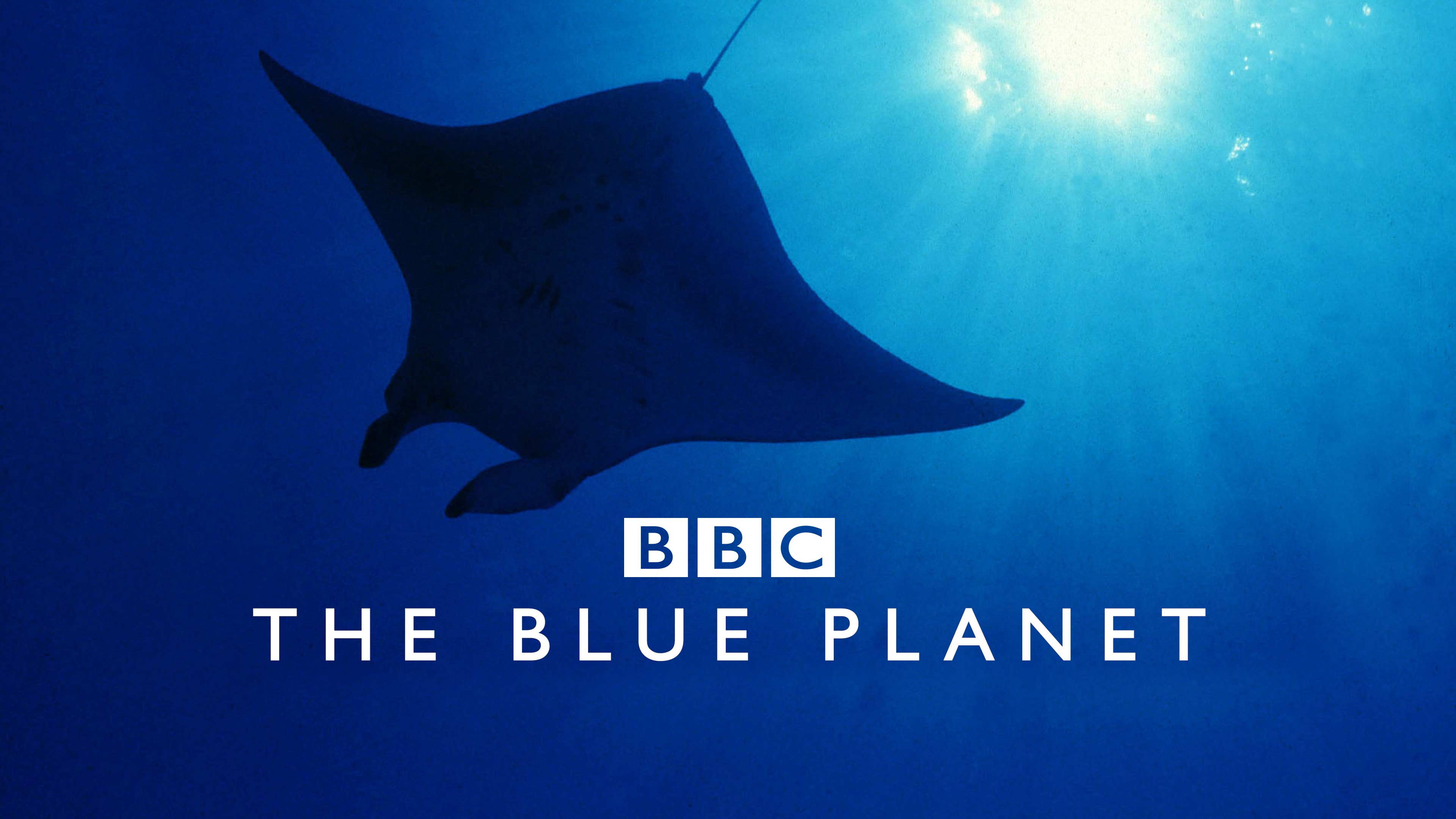 Watch Planet Earth: The Blue Planet Online | Stream Full Episodes