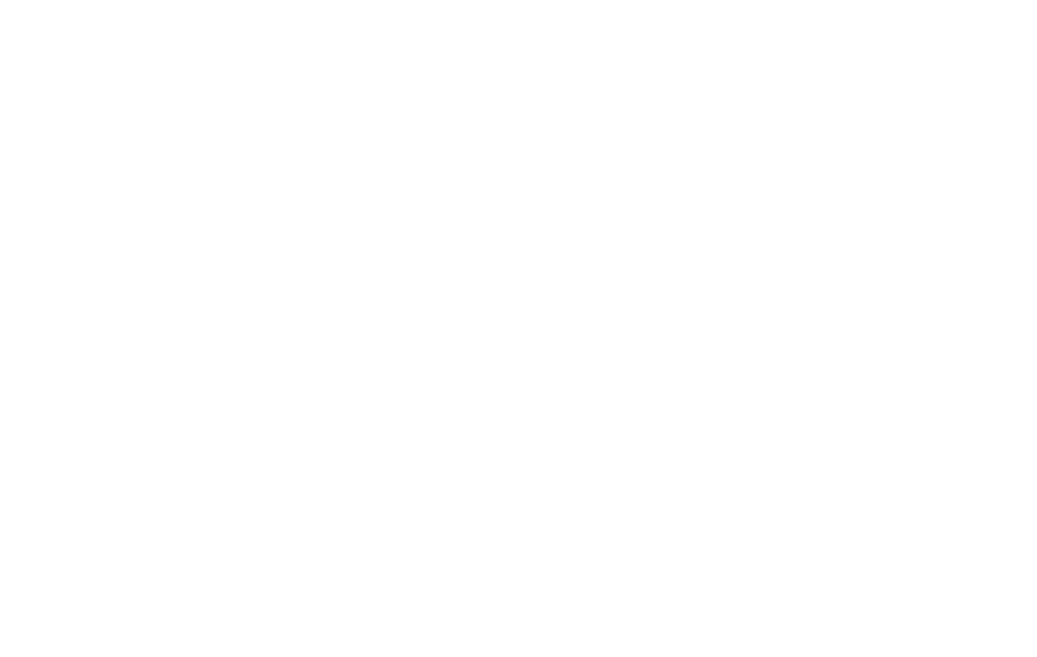 Stella Blomkvist