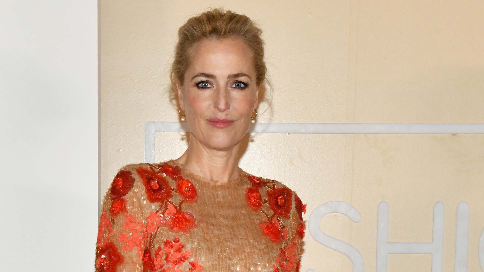 Casting News: Gillian Anderson Is Set to Star in ‘The Pale Blue Eye’ 