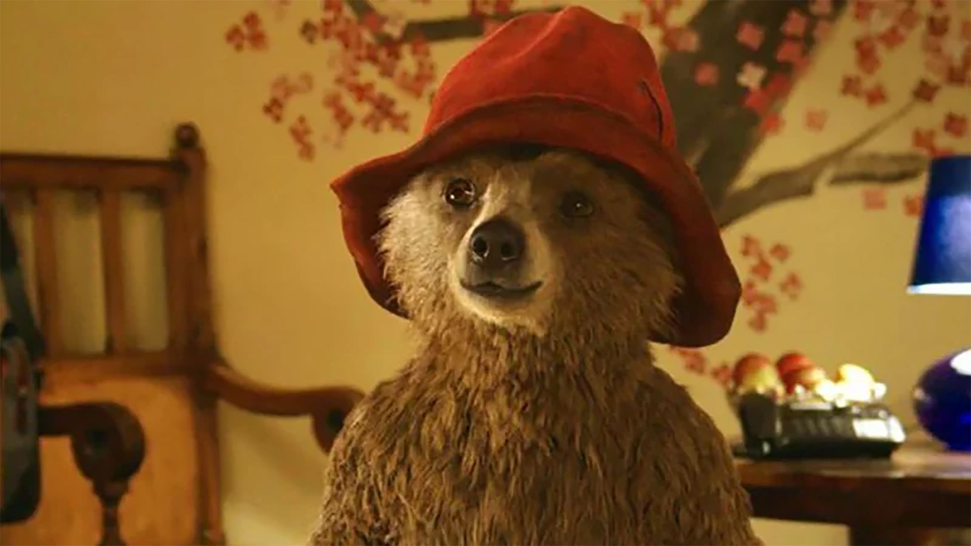 ‘Paddington 3’ Officially Has a Storyline and… Director 