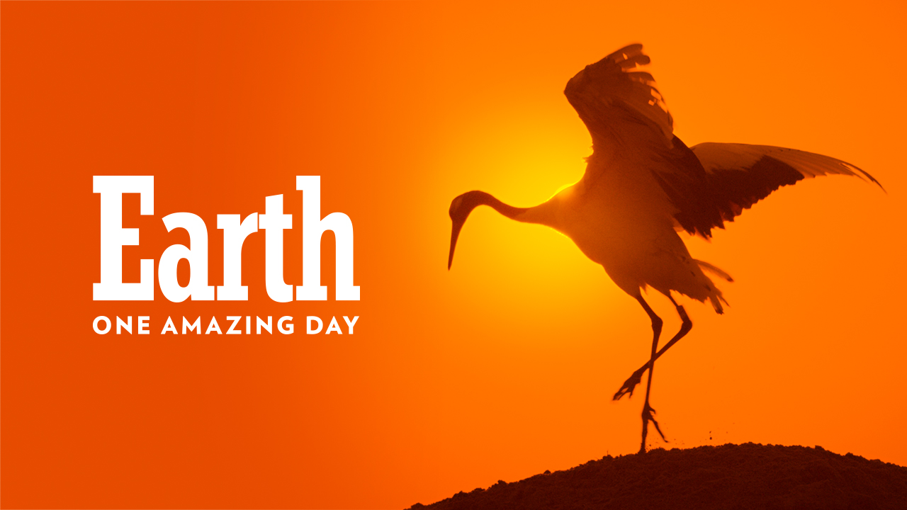 Watch Planet Earth: One Amazing Day Online | Stream Full Episodes