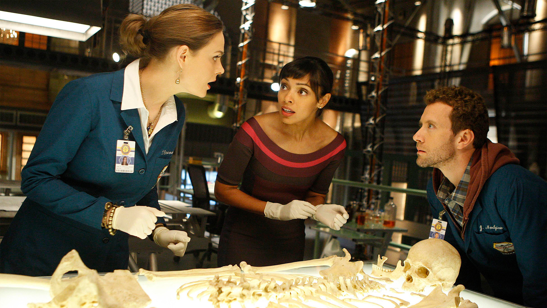 Bones Season 5 Episode 12 - The Proof in the Pudding