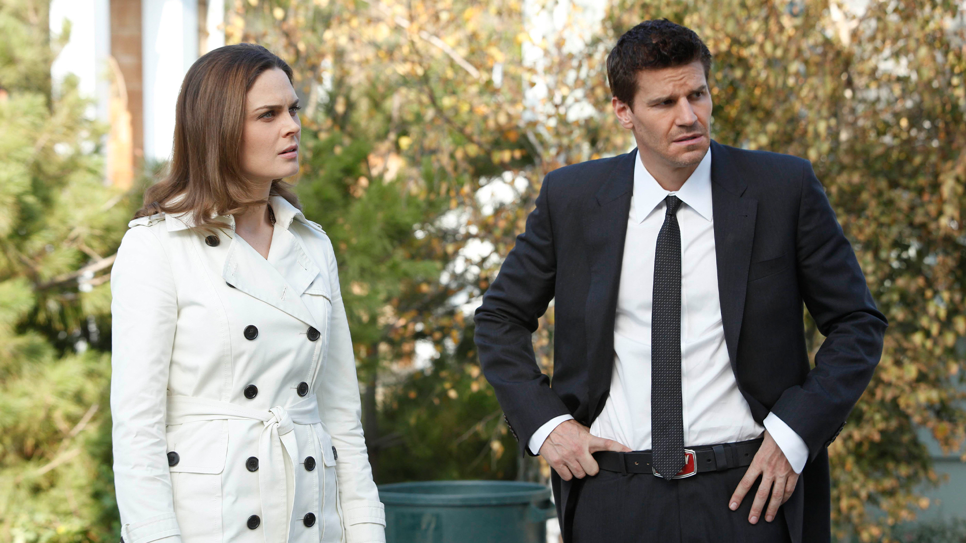 Bones Season 5 Episode 13 - The Dentist in the Ditch