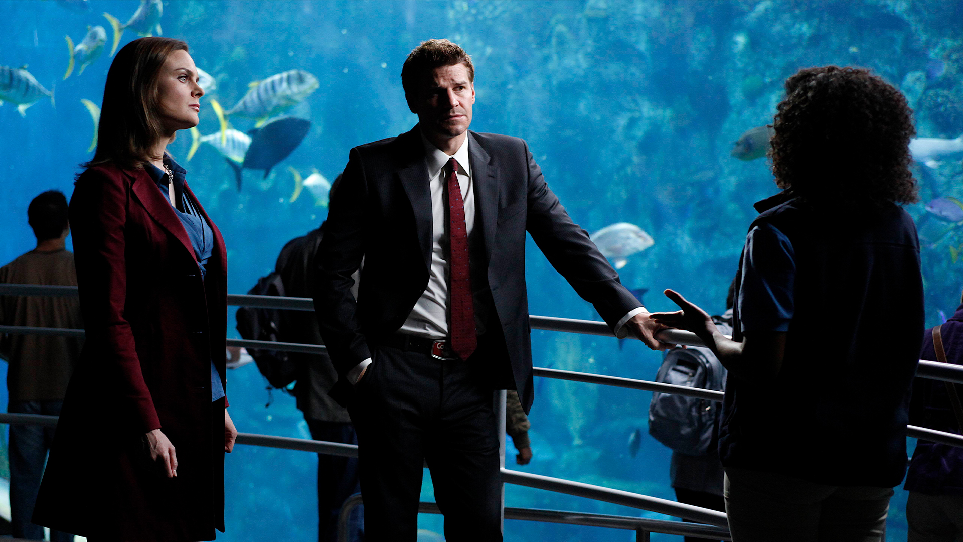Bones Season 5 Episode 18 - The Predator in the Pool