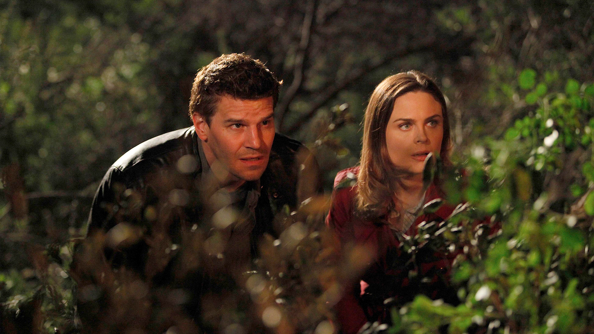 Bones Season 5 Episode 20 - The Witch in the Wardrobe