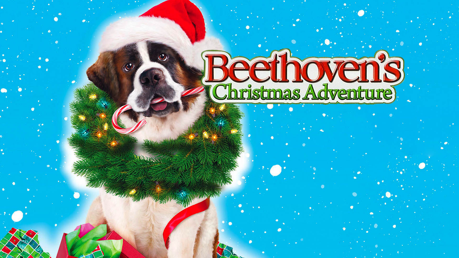 Watch Beethoven's Christmas Adventure Online | Stream Full Movies