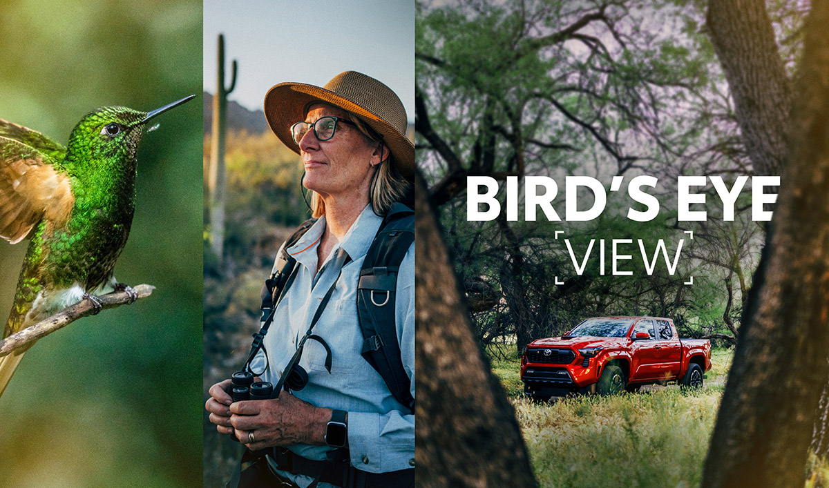 Celebrate Mammals & Take a Ride with the Special Short Film “Bird’s Eye View” 