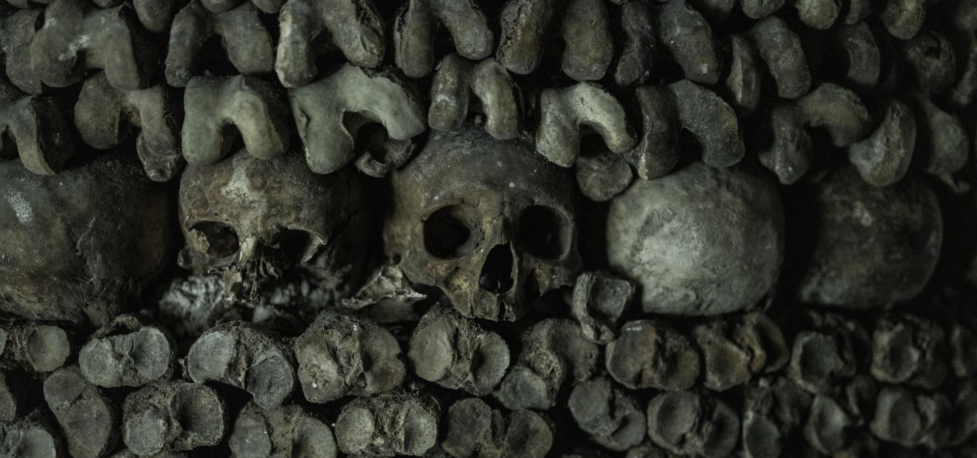 A still image from the Catacombs of Paris featured in Daryl Dixon