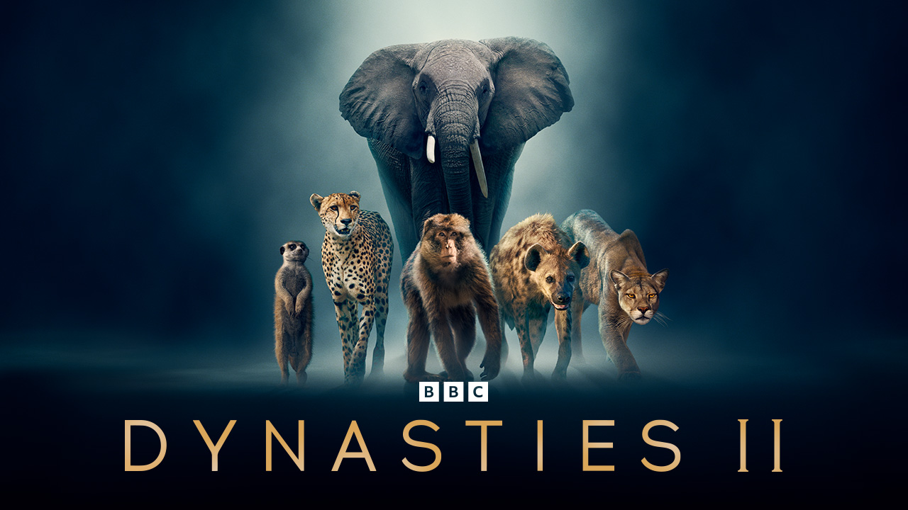 Watch Dynasties II Online | Stream Full Episodes